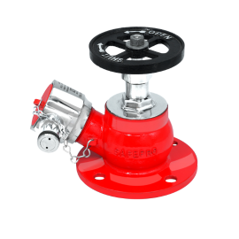 Dry Powder Fire Extinguisher